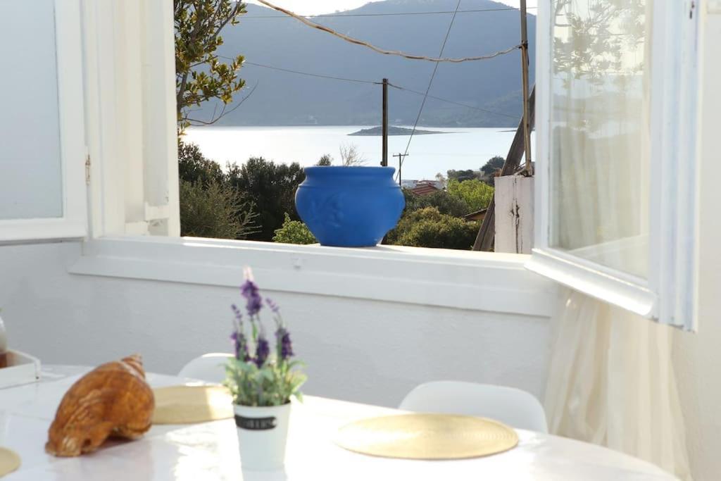 White Villa In Olive Trees And Seaview To Panagia Almiropótamos Exterior foto